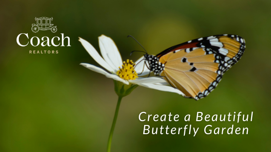 Creating a Butterfly Garden - Coach Realtors